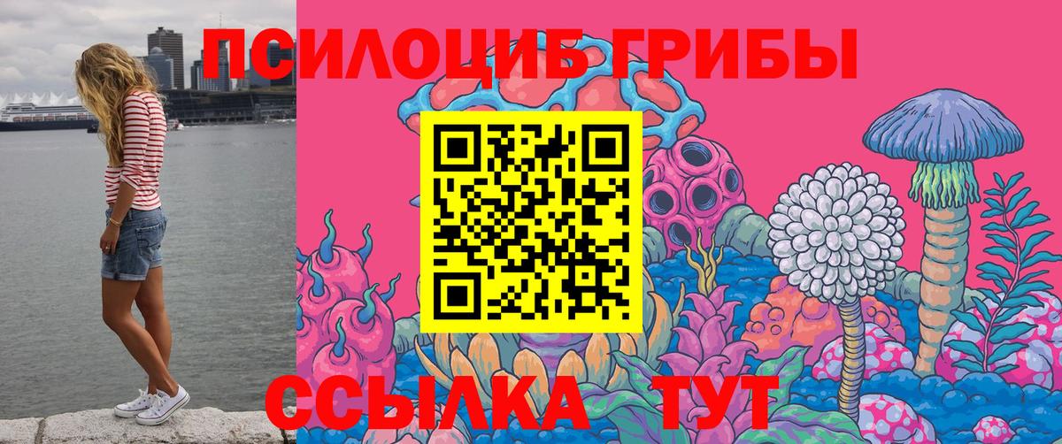 Псилоцибиновые грибы MAGIC MUSHROOMS  Псилоцибиновые грибы Cubensis  Вход с VPN  Славгород 